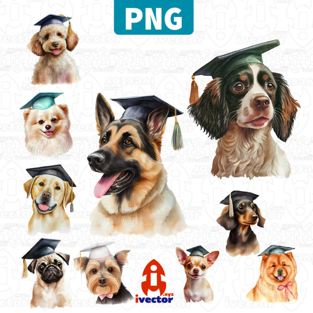 PERRITOS-GRADUACION-TOGA-PNG-ALTA-CALIDAD-01 PERRITOS GRADUACION TOGA PNG ALTA CALIDAD