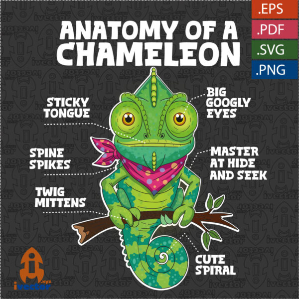 ANATOMY-CHAMELEON-LETRAS-BLANCAS_Mesa-de-trabajo-1-600x600 Ivector - Recursos Ilimitados DTF