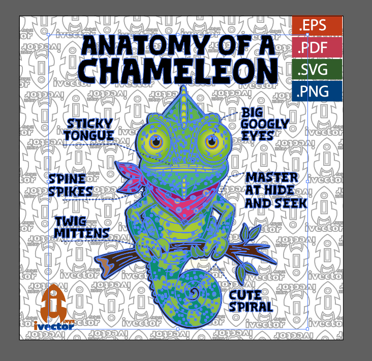 ANATOMY-CHAMELEON-LETRAS-NEGRAS_2 ANATOMY CHAMELEON LETRAS NEGRAS