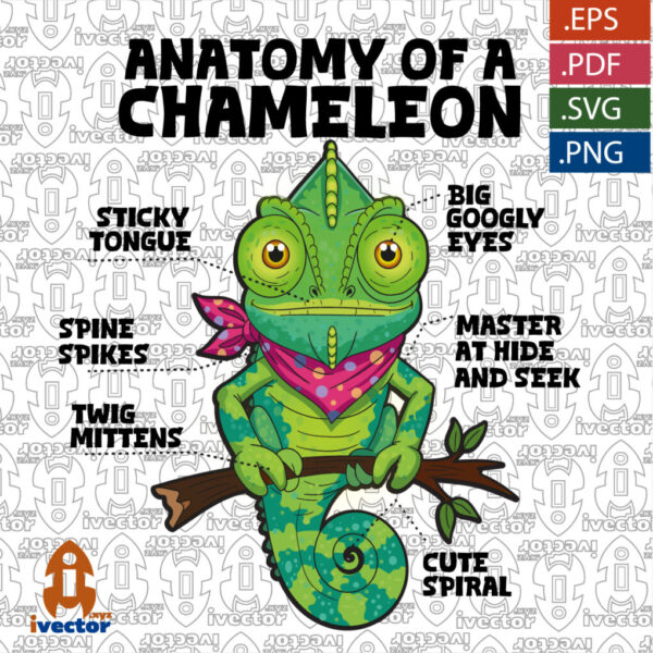 ANATOMY-CHAMELEON-LETRAS-NEGRAS_Mesa-de-trabajo-1-600x600 Ivector - Recursos Ilimitados DTF