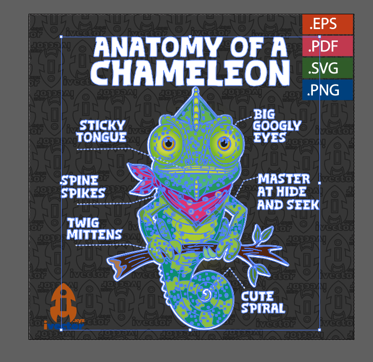 ANATOMY-CHAMELEON-LETRAS-NEGRAS_P1 ANATOMY CHAMELEON LETRAS BLANCAS