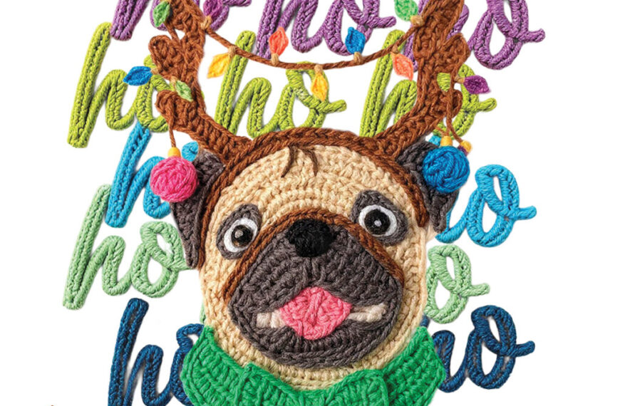 HO HO HO PERRO NAVIDEÑO CROCHET ALTA CALIDAD